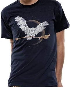 Camiseta De Hedwig Y Escoba