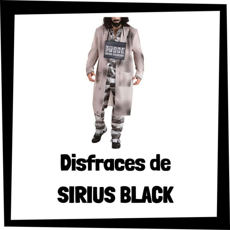 Lee más sobre el artículo Disfraces de Sirius Black