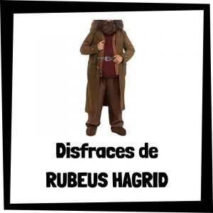 Disfraces de Rubeus Hagrid