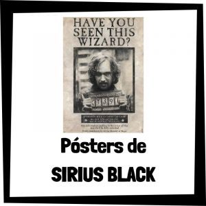 Lee más sobre el artículo Pósters de Sirius Black