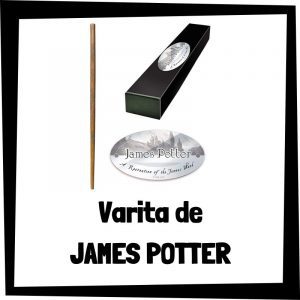 Varita de James Potter - Colección de varitas de Harry Potter baratas