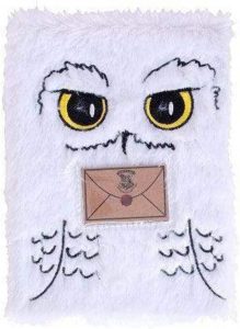 Cuaderno De Hedwig