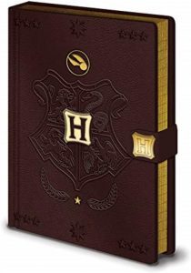 Cuaderno De Quidditch De Hogwarts De Harry Potter