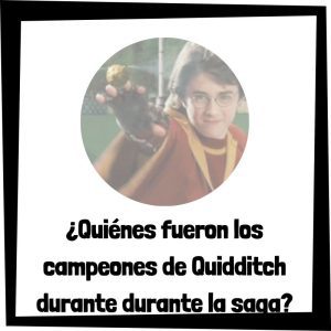 Quiénes Fueron Los Campeones De Quidditch Durante Los Años De Harry Potter En Hogwarts