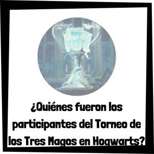Quiénes Fueron Los Participantes Del Torneo De Los Tres Magos En Hogwarts