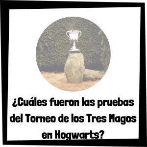 Lee más sobre el artículo ¿Cuáles fueron las pruebas del Torneo de los Tres Magos en Hogwarts y cómo las superó cada participante?